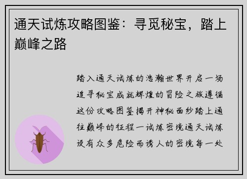 通天试炼攻略图鉴：寻觅秘宝，踏上巅峰之路